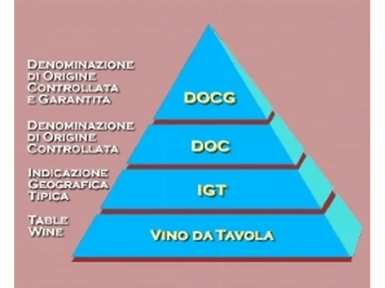 la classificazione dei vari disciplinari