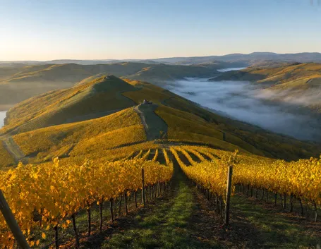 Perché l'autunno è la stagione giusta per il paesaggio UNESCO