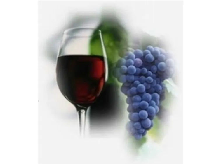 uva da vino