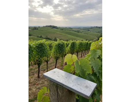Il panorama della zona