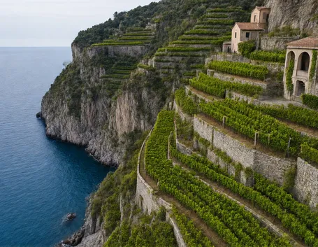 Gli spettacolari terrazzamenti delle Cinque Terre