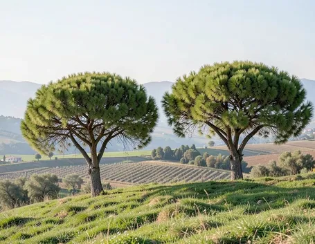 Il panorama della zona