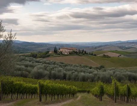 le Colline del Chianti