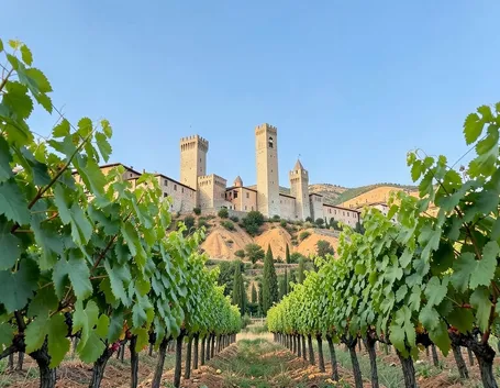 Il Panorama di San Gimignano e i suoi vigneti