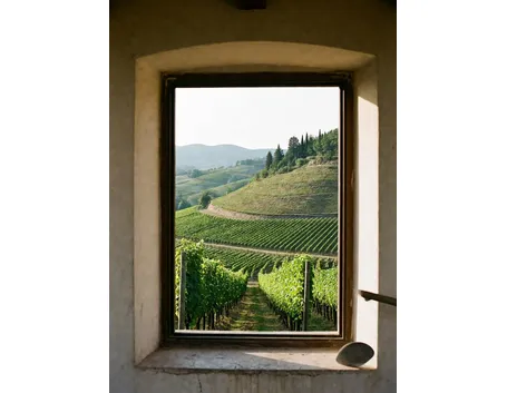 Le colline di Gambellara