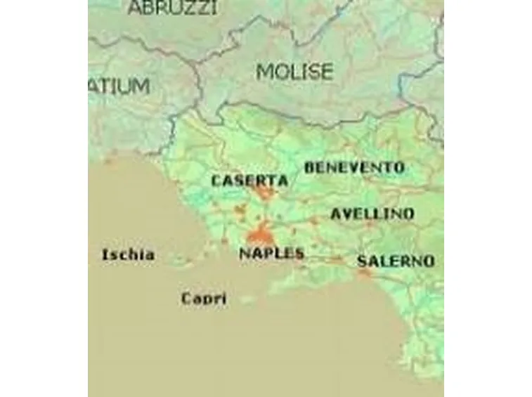 La Campania vinicola