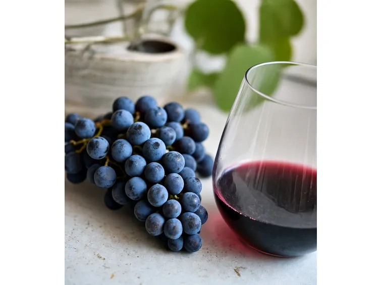 I colori di questo vino