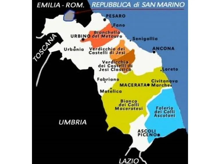 I DOC delle Marche