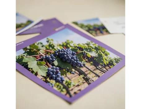 Depliant della Cantina del Nebbiolo