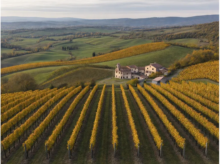 I vitigni in autunno